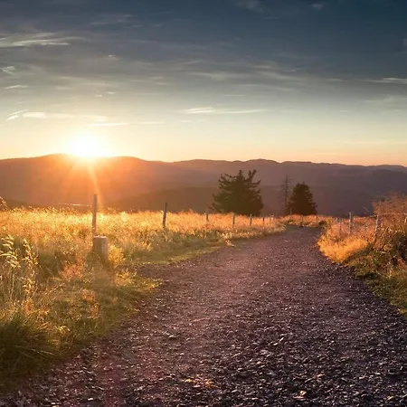 Lejlighed Waldrose *